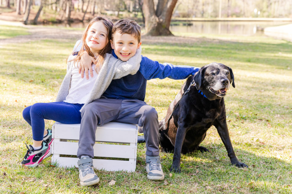 sibling sitting on a white wood box, hugging with the dog in a park with Laure Photography Atlanta